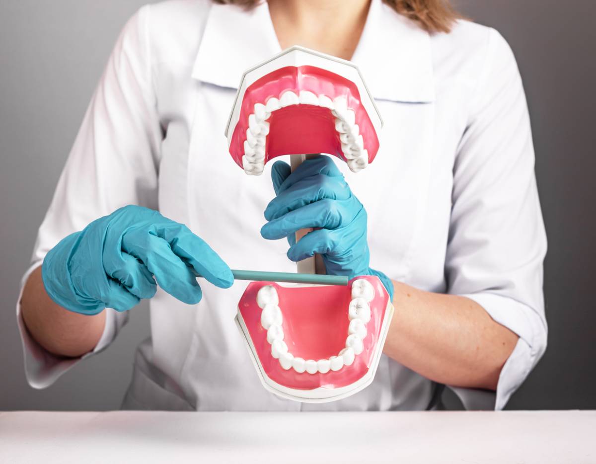 Dentist educating a patient about wisdom tooth position and removal using an oral model at Dental Art Clinic in Cambridge.