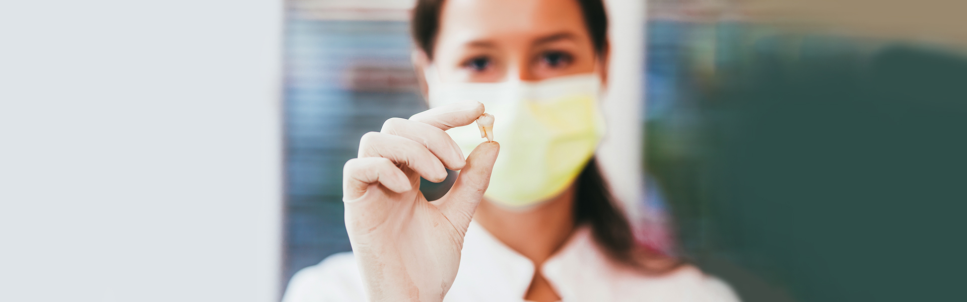 A masked clinician holding up an extracted tooth